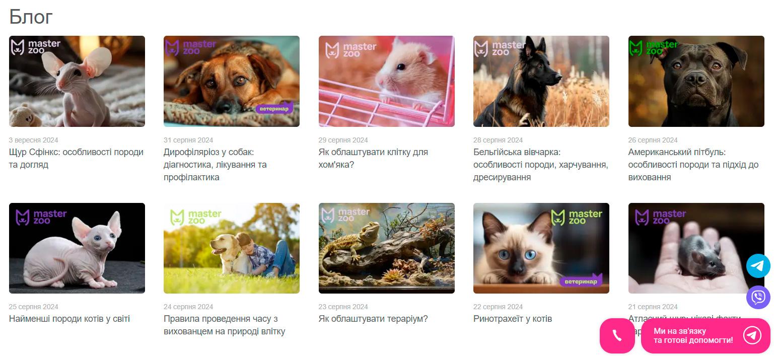 стратегія просування сайту